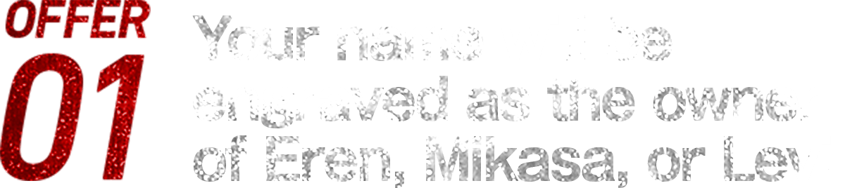 OFFER01Your name will be engraved as the owner of Eren, Mikasa, or Levi.